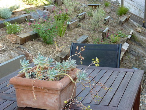 Saje\'s House & Pod - Hotel NSW 12