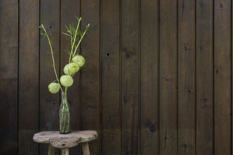 Botanica Editions - Hotel NSW 10