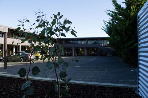 The Olive Tree Motel - Hotel NSW 25