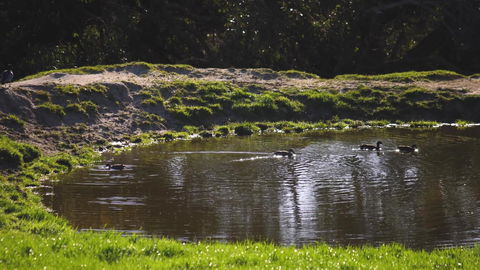 Limosa Rise - Hotel NSW 15