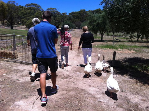 The Farm Willunga - Hotel NSW 1