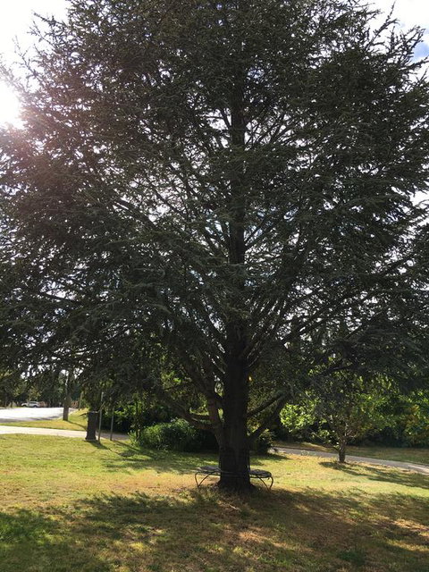 The Glasshouse Boutique Accommodation - Hotel NSW 3