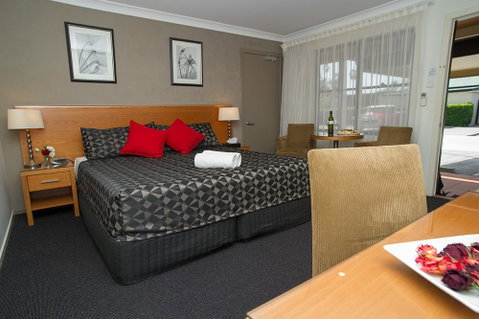 The Grapevine Motel - Hotel NSW 3
