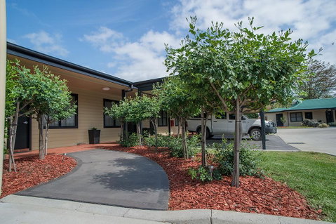 The Grapevine Motel - Hotel NSW 2