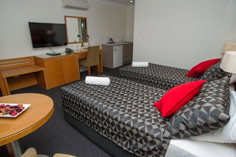 The Grapevine Motel - Hotel NSW 1