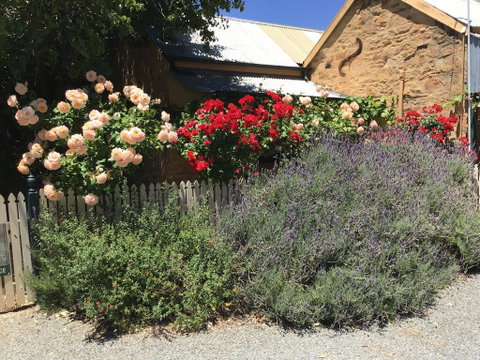 The Olde Devonshire House - Hotel NSW 2