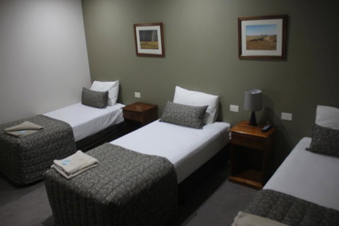 The Saltbush Motor Inn - Hotel NSW 2