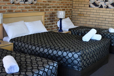 The Town House Motor Inn - Hotel NSW 3