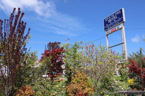 Top Of The Town Motel - Hotel NSW 1