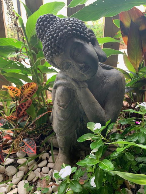Tranquil Spa Retreat - Hotel NSW 3