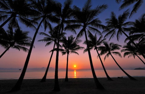 Tranquility Relax Palm Cove - Hotel NSW 1