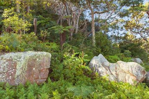 Treehouse Palm Beach - Hotel NSW 2