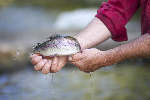 Tuki Retreat - Hotel NSW 2