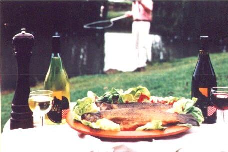 Tuki Retreat - Hotel NSW 3