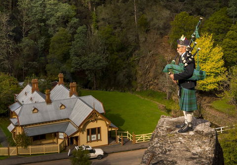 Walhalla Wild Cherry - Hotel NSW 2