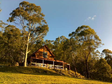 Wallaby Leap - Hotel NSW 2