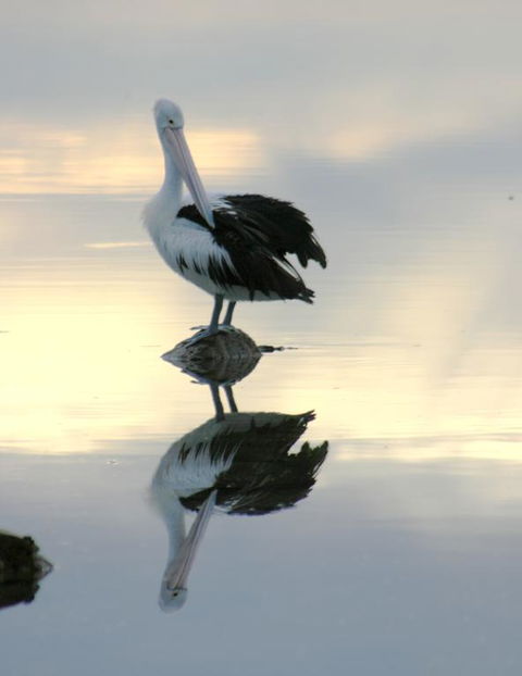 Wanderers Rest Of Kangaroo Island - Hotel NSW 3