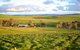 Wantana Cottage Farmstay - thumb 0