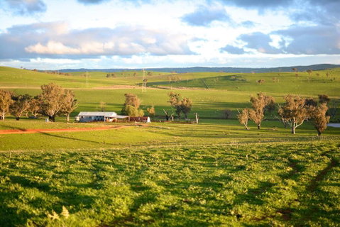 Wantana Cottage Farmstay - Hotel NSW 0