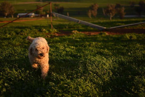 Wantana Cottage Farmstay - Hotel NSW 1