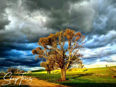 Wantana Cottage Farmstay - Hotel NSW 2