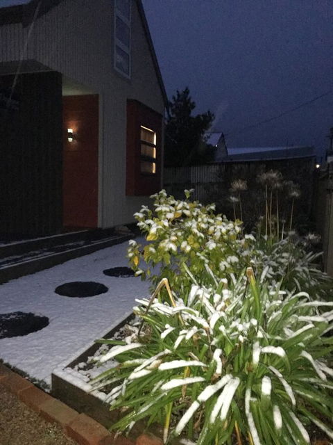 Daydream Cottage - Hotel NSW 17