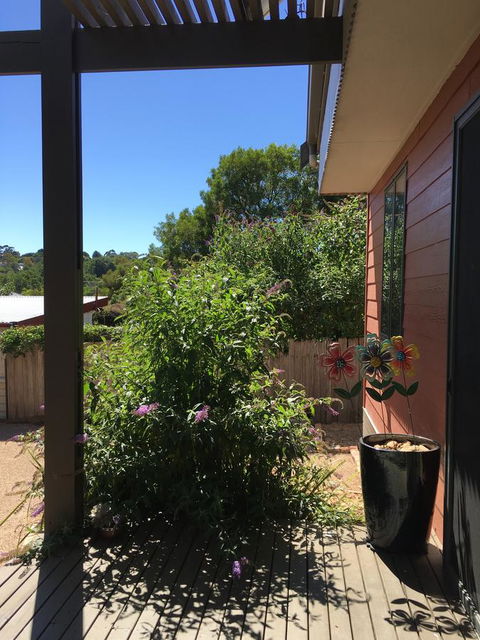 Daydream Cottage - Hotel NSW 10