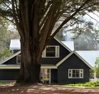 The Orchard - Hotel NSW