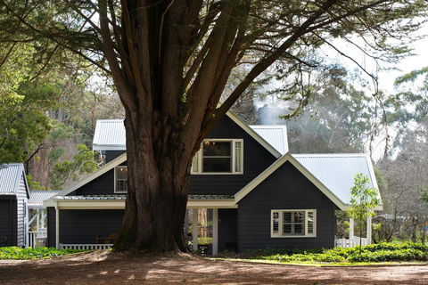 The Orchard - Hotel NSW 0