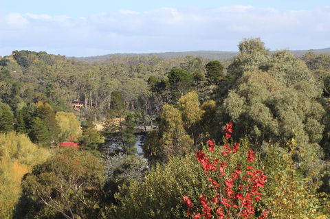 The Orchard - Hotel NSW 28