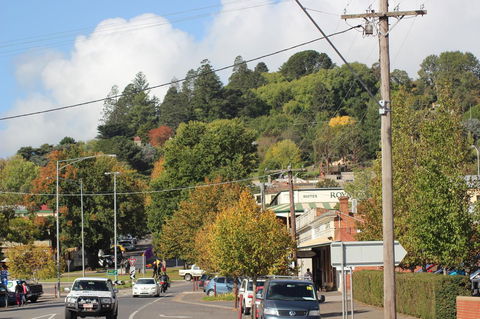 The Orchard - Hotel NSW 35