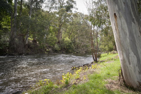 Oscar\'s On The Yarra - Hotel NSW 23