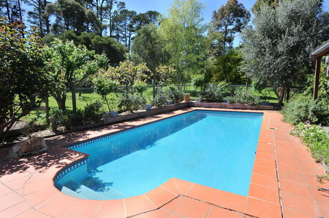 Lavender Farm - Hotel NSW 1