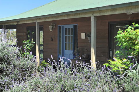 Lavender Farm - Hotel NSW 8