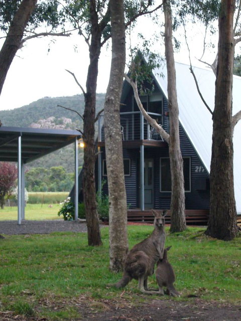 The A-Frame - Hotel NSW 1