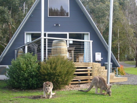 The A-Frame - Hotel NSW 10