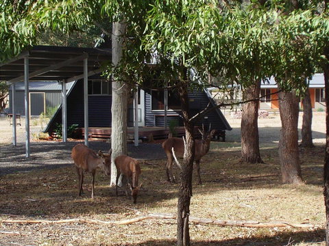 The A-Frame - Hotel NSW 13
