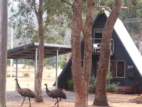 The A-Frame - Hotel NSW 9