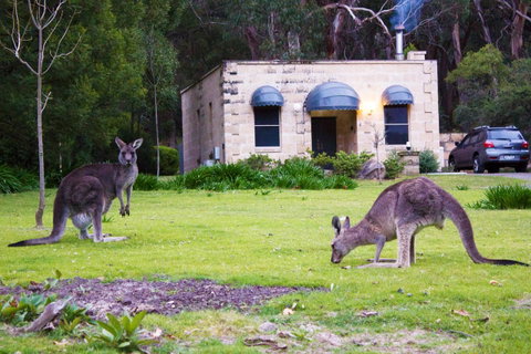 Marwood Villas - Hotel NSW 0