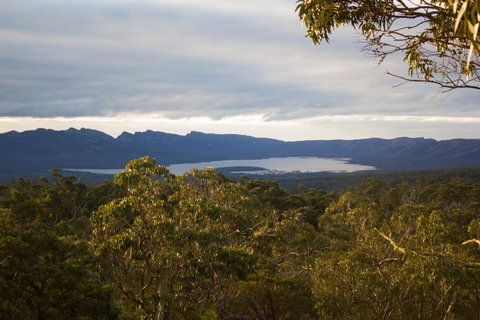 Marwood Villas - Hotel NSW 32