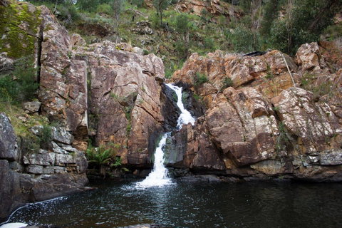 Marwood Villas - Hotel NSW 41