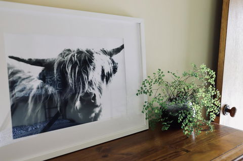 Red Ceder Cottage - Great Ocean Road - Port Campbell - Hotel NSW 5