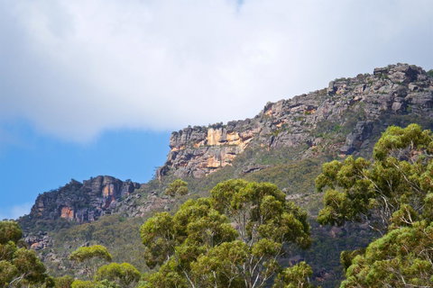 Gumnut Villa - Hotel NSW 15