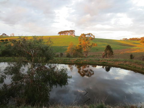 Walnut Cottage Via Leongatha - Hotel NSW 10