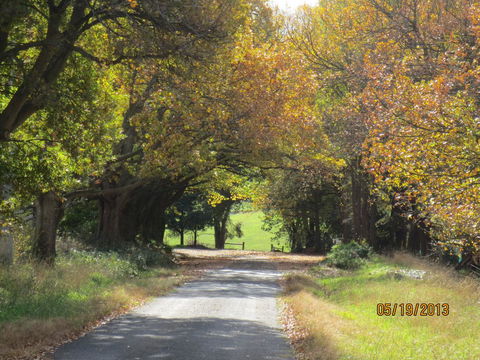 Walnut Cottage Via Leongatha - Hotel NSW 11