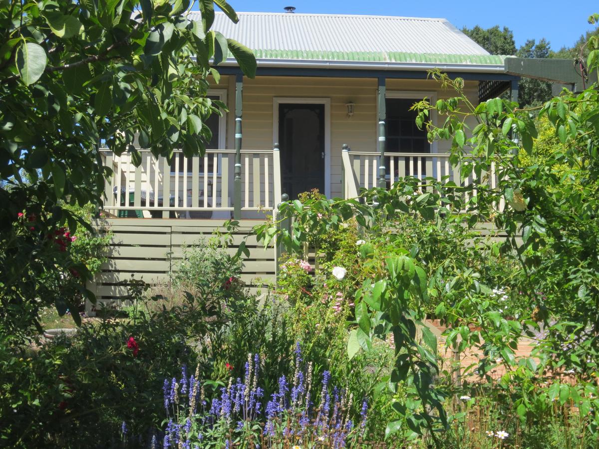 Trida VIC Hotel NSW