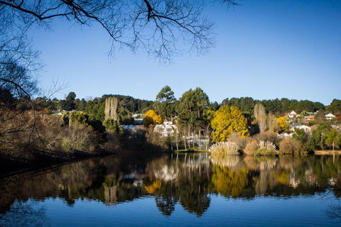 Chestnut Daylesford - Hotel NSW 14