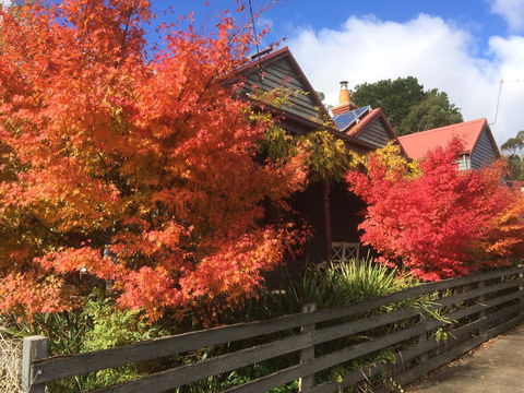 Chestnut Daylesford - Hotel NSW 13