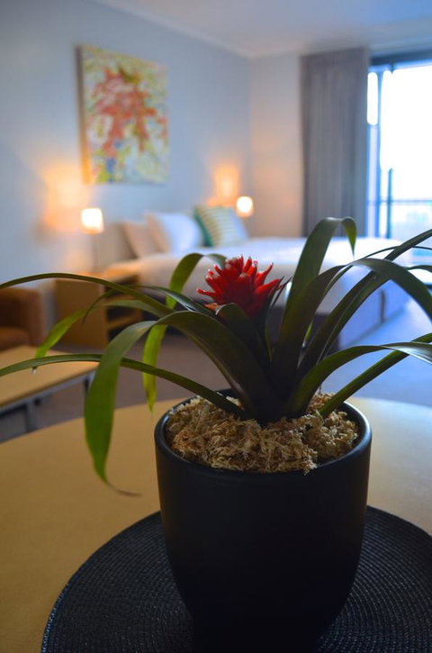 Mansfield Apartments - Hotel NSW 21