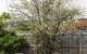 Bacchus Centro - thumb 9